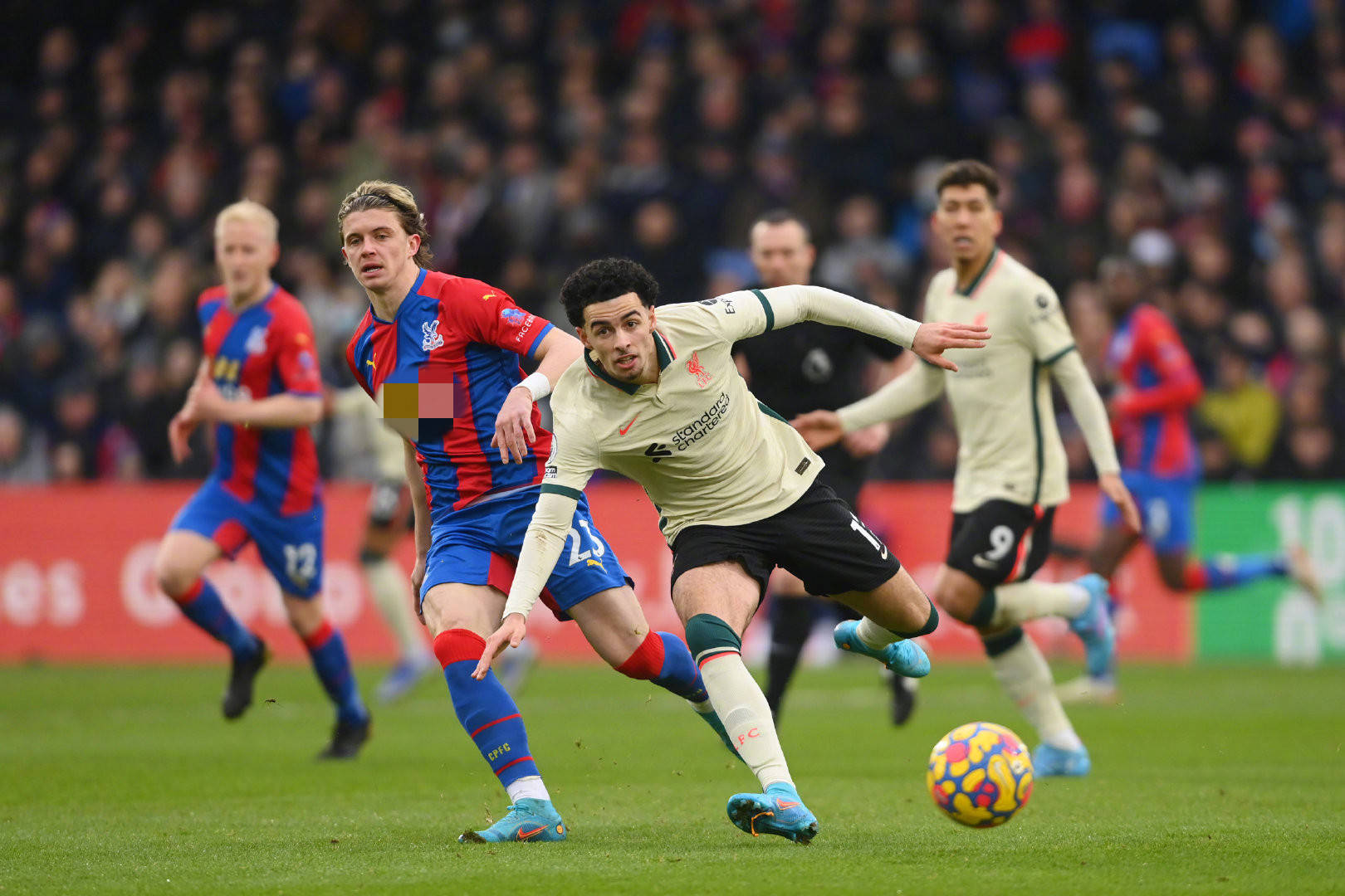 因此在教練 因此在教練